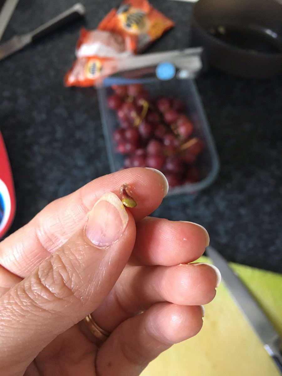tinyhumanuk's tweet photo. @sainsburys I bought some seedless grapes the other day, but they are full of seeds...as I discovered when I cut one in half, gave it to my 2 year old and he got one caught in his throat!? https://t.co/IS1F9ZnaOK