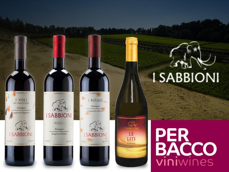 ViniWines's tweet photo. I SABBIONI - Dalla accurata selezione delle migliori #uve Emiliane nascono vini da profumi e aromi inconfondibili: ogni #Sangiovese de i Sabbioni racchiude un mondo fatto di accoglienza, ospitalità, famiglia. Li trovi su @ViniWines https://t.co/NPZeRNQiVO https://t.co/lvD7zBvFrs