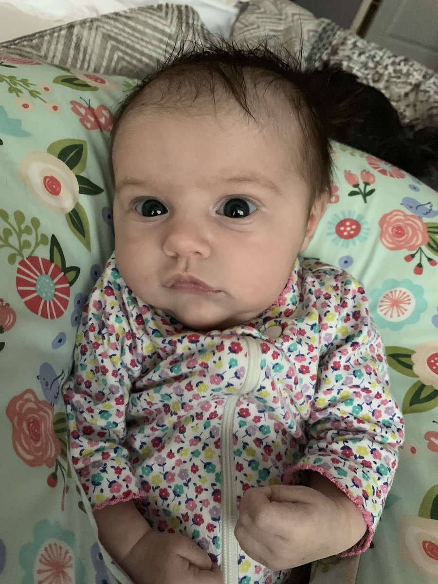 Sara Wilburn tweet media