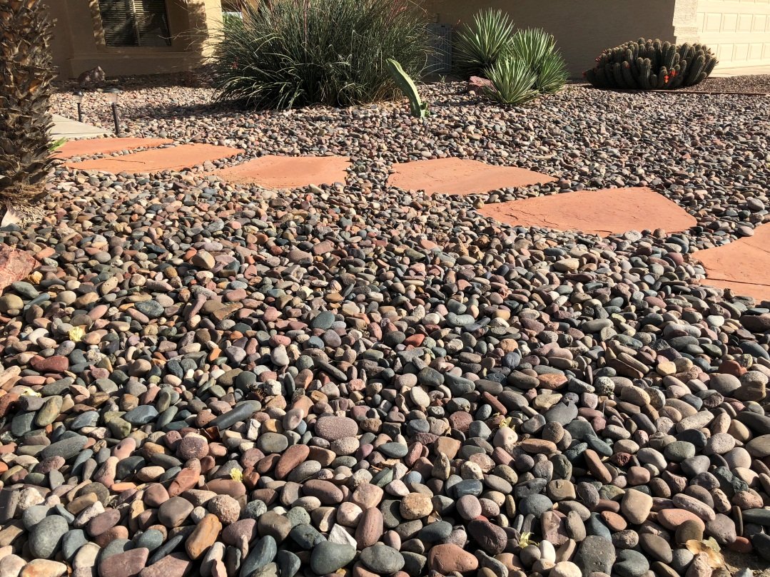 The pebble-strewn pathway with its cacti and succulent plants is a brilliant example of hardscaping. The place engenders a feeling of an organized wasteland. US Rock Corporation were the proud suppliers of all the landscaping material for this audacious project.