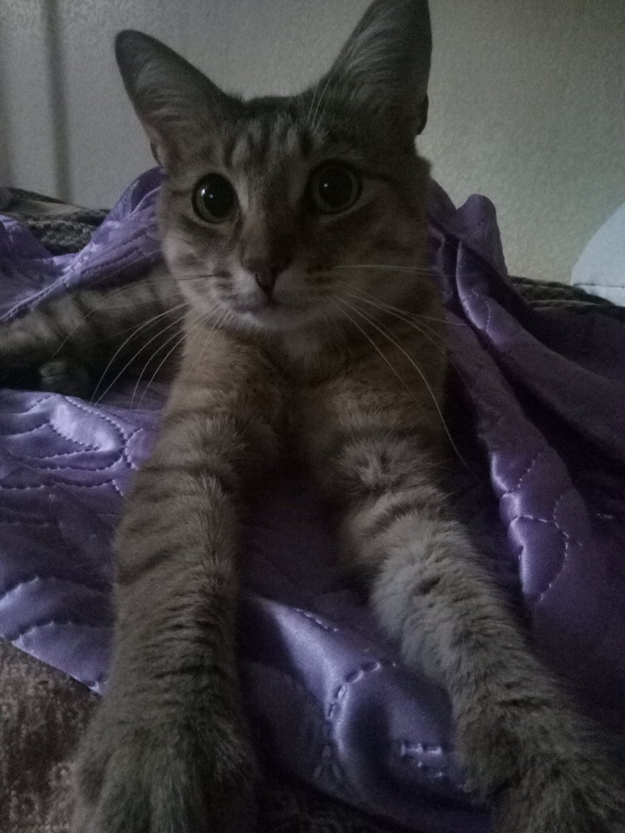 Allo september eta ti?