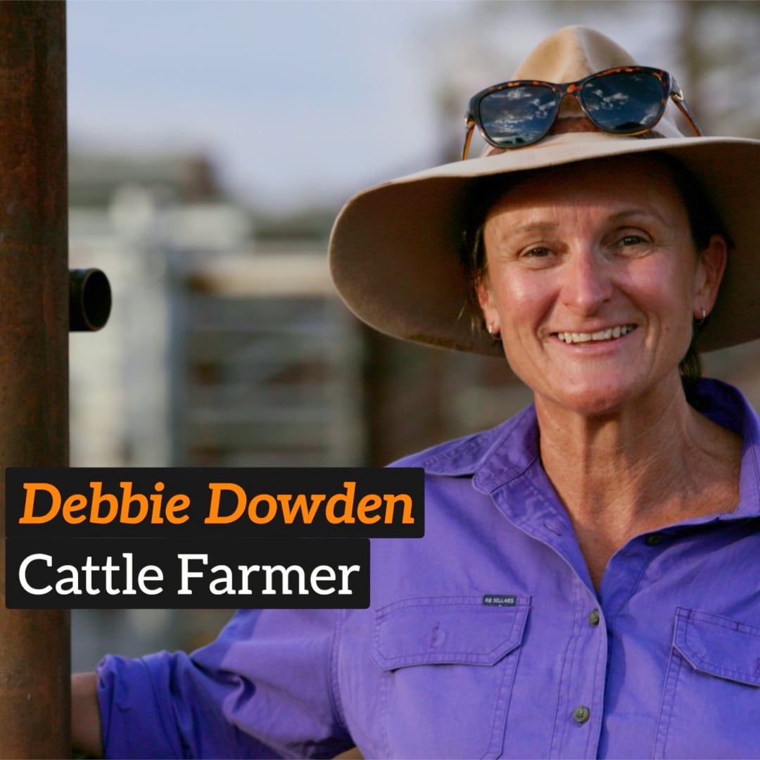 Visible Farmer tweet media
