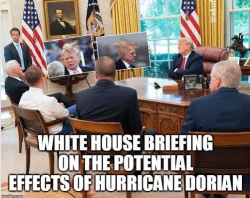CptnBlackbeard's tweet photo. @rogerdodger1180 @IloveFlorida001 He's worried about his #headferret. https://t.co/fZBnytJqzs