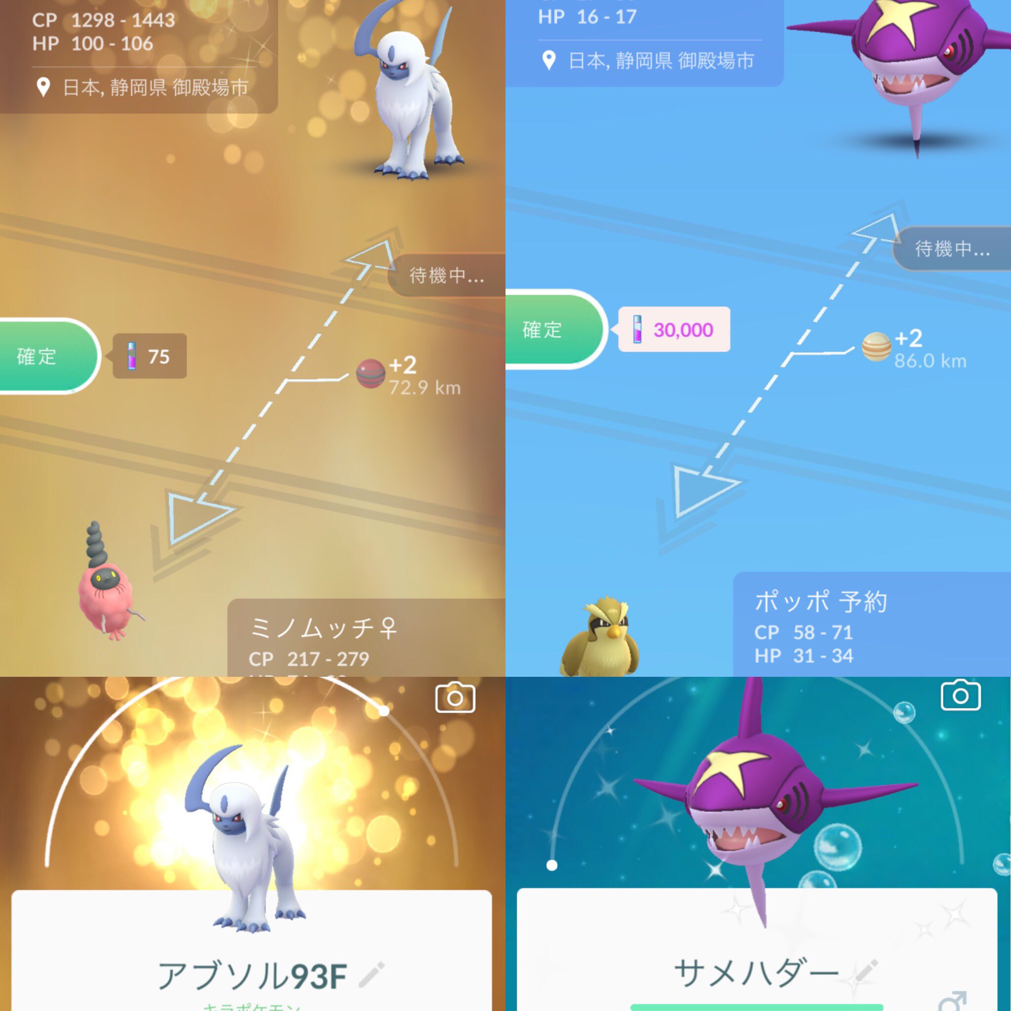 色違いサメハダー Twitter Search Twitter