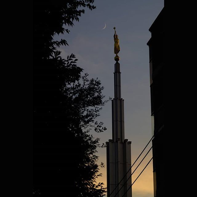 JoeHolleyPhoto's tweet photo. Saw this on my way home.

#statue #heavenly #angel #church #moon #sunset 
#nikonz6 #vintagelens #nikkor 135mm f3.5 @ f8
#mf #powerlines

#oldlens_japan #oldlens #oldlens_tokyo https://t.co/9xqgJJ12Q0 https://t.co/80QOLTMYxn