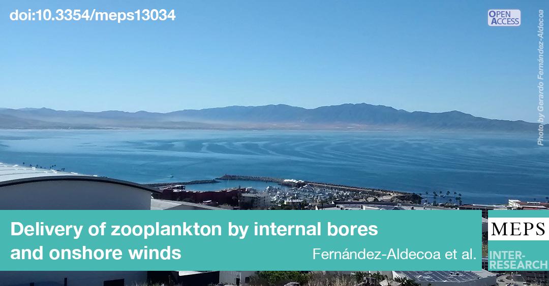MEPS_IR's tweet photo. When the water column is thermally stratified, internal tidal bores and onshore winds can act in concert to deliver marine invertebrate larvae to the nearshore in a semi-enclosed bay. Fernández-Aldecoa R.G., et al. Read more in our #OA article: https://t.co/mCbFlsu0kt https://t.co/OKkTaYU955