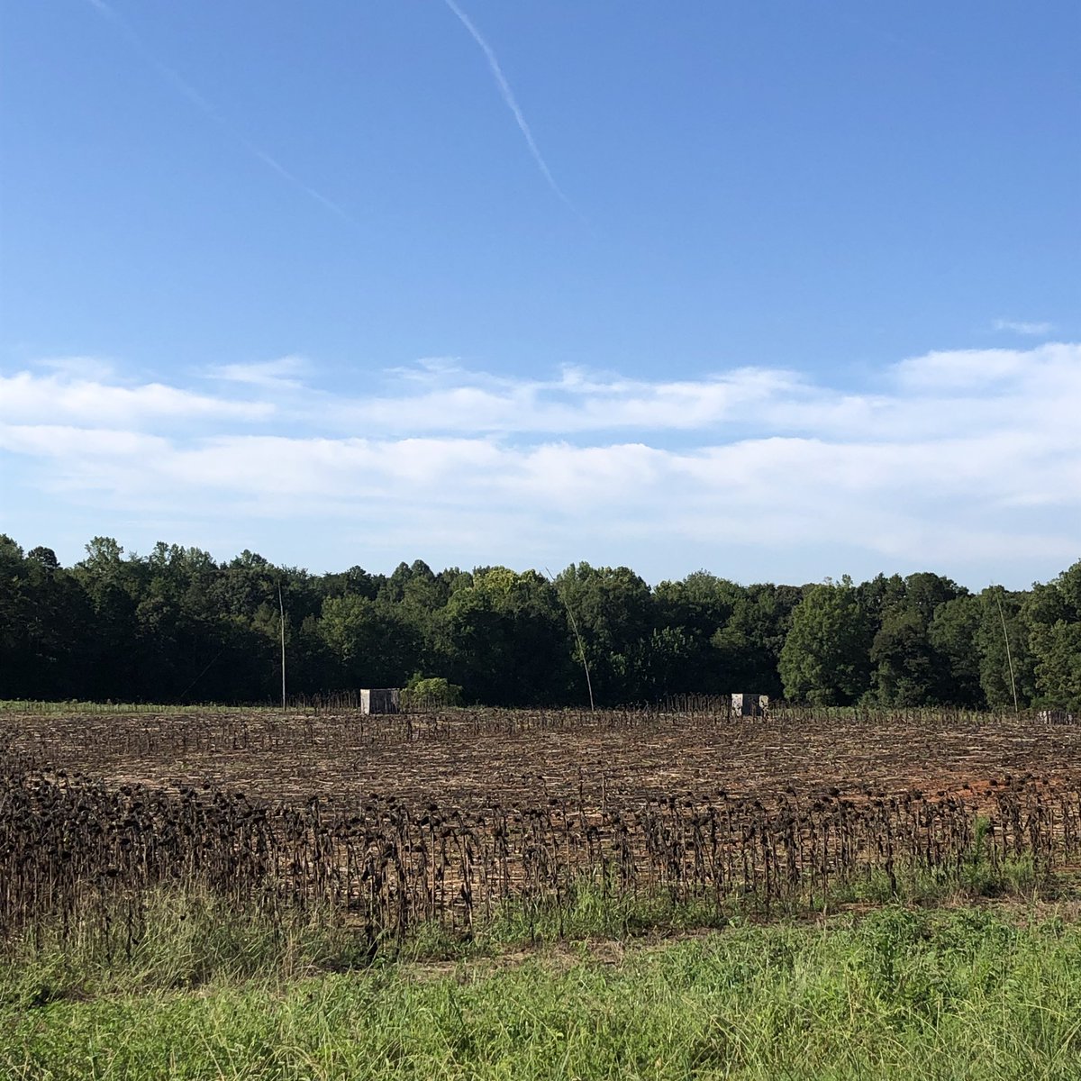 🚨Opening day in North Carolina for white-winged dove. 

❓Who’s ready!?

#openingday #HuntingSeason #outdoor #outdoors #outdoorliving #DoveSeason