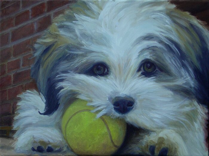 Because I paint a lot of classical, sometimes I need to let loose & have some fun.That’s when I paint in a looser style - allaprima (all in one sitting) - much more impressionistic. Watching You watching Me was donated to the  #SPCA for fundraising. #oilpainting  #petportrait