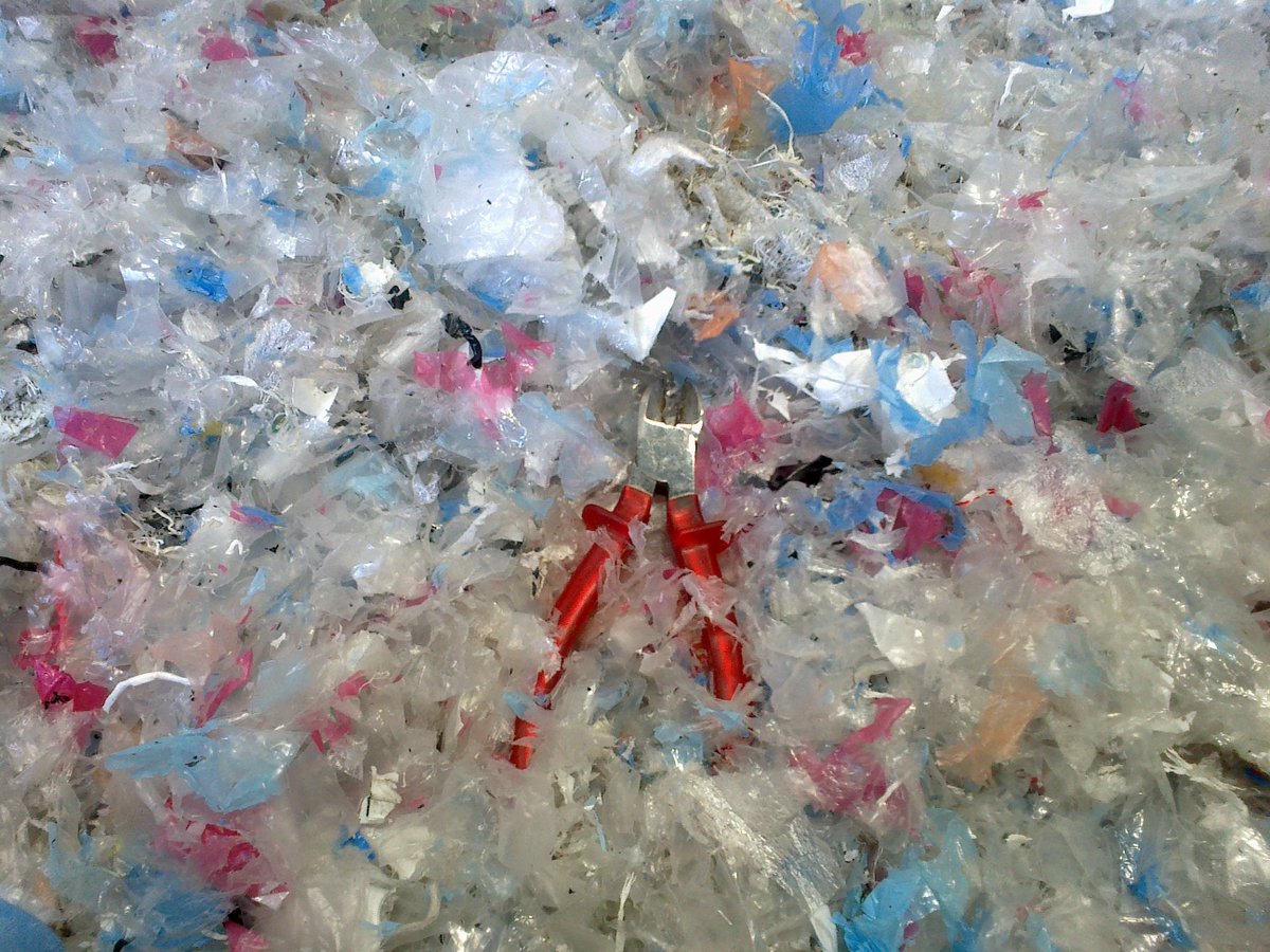 download Kid Rex: The Inspiring True Account of a Life Salvaged from Despair, Anorexia and