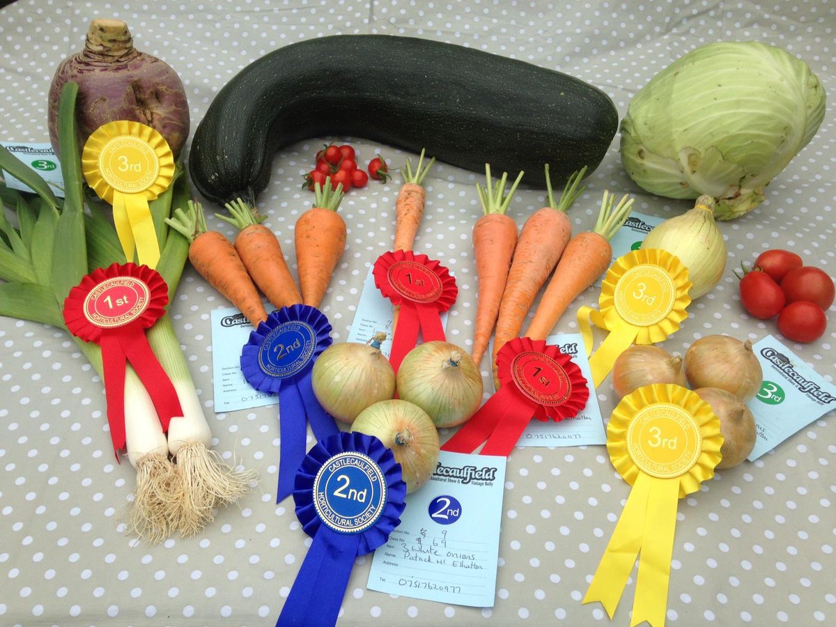 Amazing results shown in the photos of Vegetables all grown in our very own Growmoor Better growing Salad and Vegetable compost available in a 60L bag!

Picking up 1st, 2nd and 3rd prizes and we can see exactly why 

We don't call ourselves better growing for nothing!