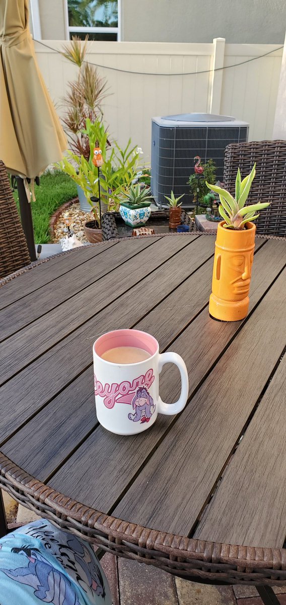 andi_daisy26's tweet photo. Good Morning! today we are enjoying the fruits of our labor. 79° and only 50% humidity and a little overcast #coffee #relaxing #stillnotawake #cutepuppy #georgiaiveyrose #vanillahazelnut #tiki #agave https://t.co/LFRo055mZr