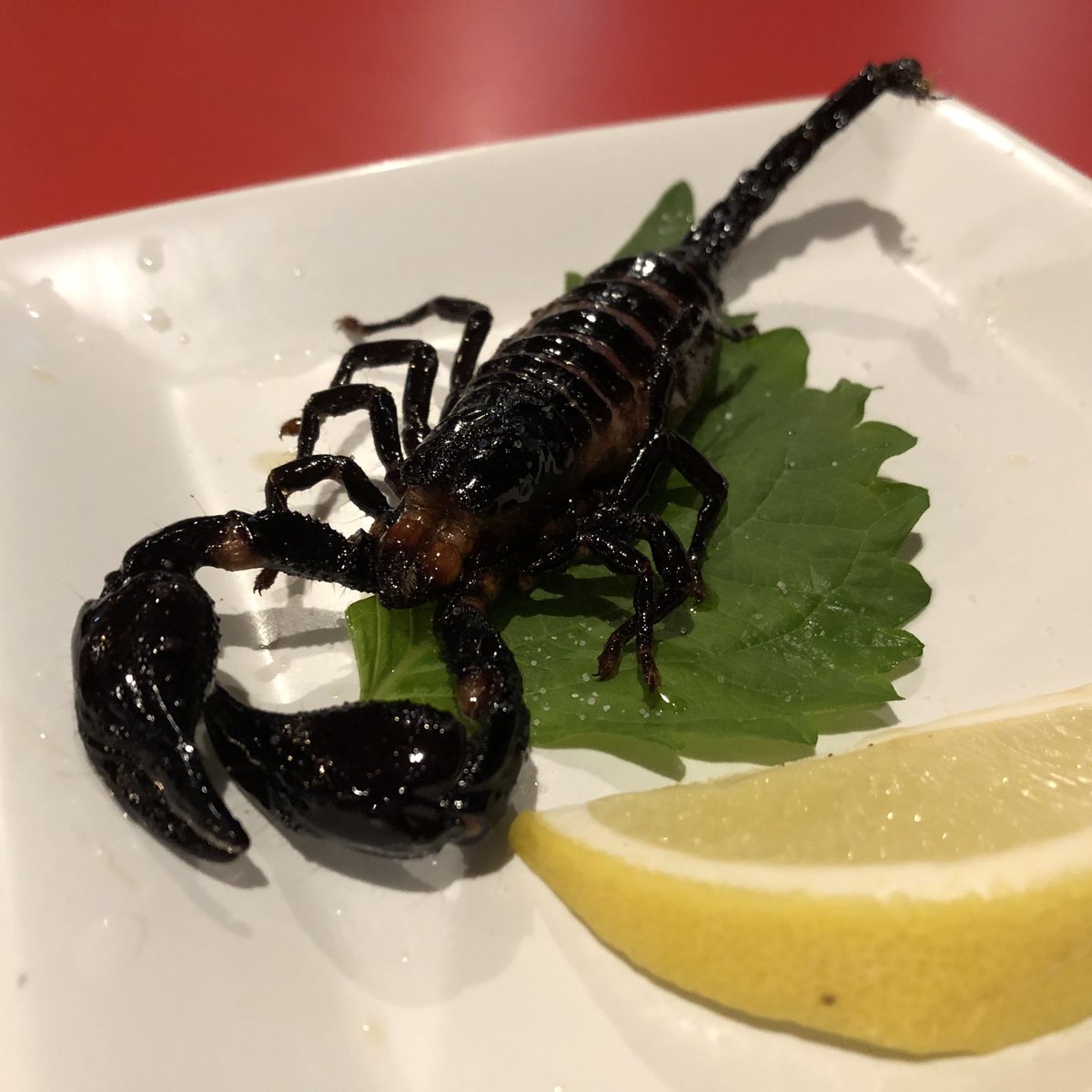 丼 これはさそりです ハサミと尻尾はエビ の味です 針はちょっと独特の風味 なんとも言えない 身 はカニミソの味わいにサラミと蠍の針の風味がついてる感じ 案外殻は硬くないです 硬いけど噛みきれます 脚がマジで エビなので美味しいです