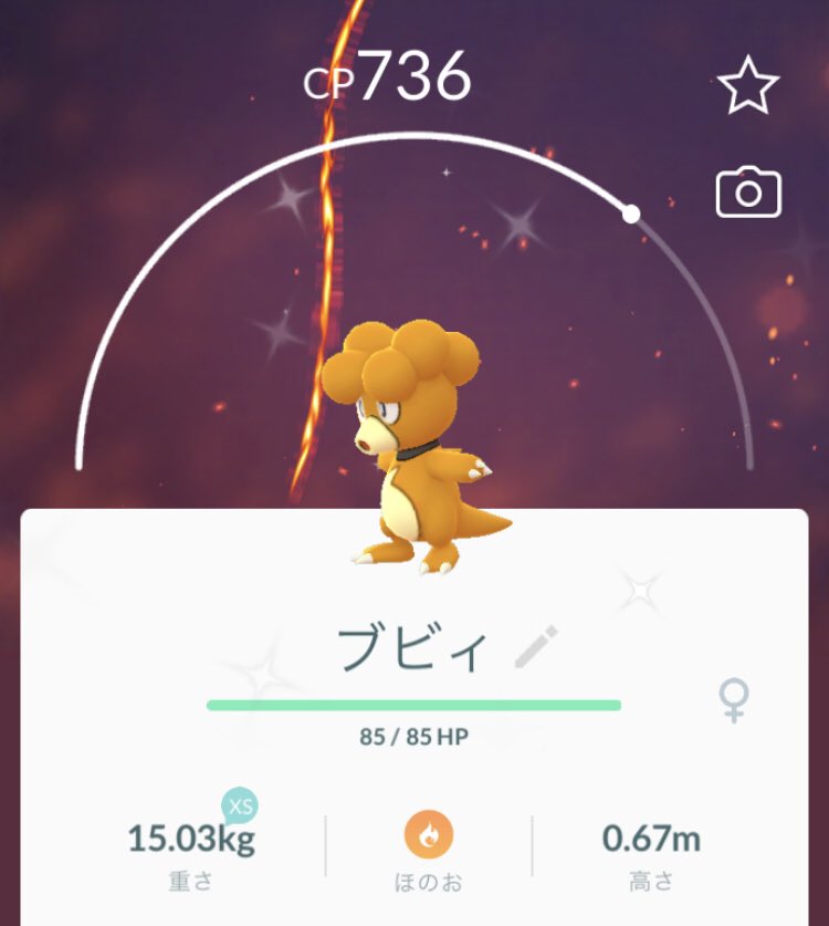 色違いブビィ Twitter Search Twitter