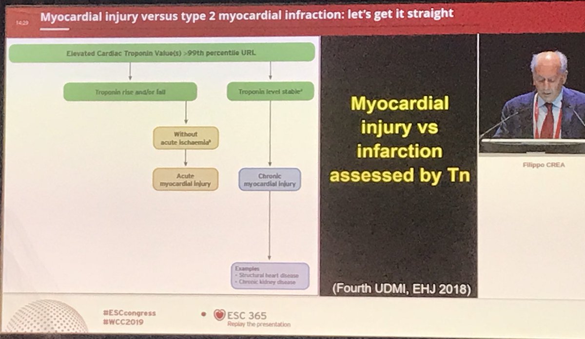 crisan_simina's tweet photo. MINOCA: making the difference between myocardial injury and type 2 myocardial infarction, a topic presented by Prof. Filippo Crea
#ESCCongress #ESCDigital https://t.co/hFtnJF1m8f