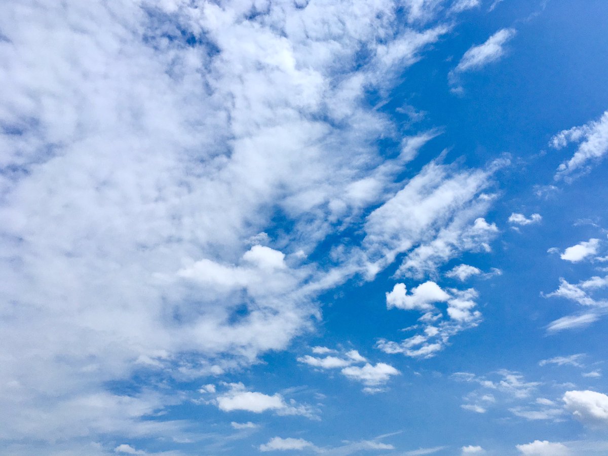 Shinya 19 86 今日の空 透過 仕事の合間 いつも見上げる空の変化 遠くを眺めると まだ 夏の雲が見える 頭上は 空が高く 光は透過する雲の輝き そろそろ太陽から 月の晩へと移るのか 今日のスクリーン 空と会話する カコソラ 19 09 02 空