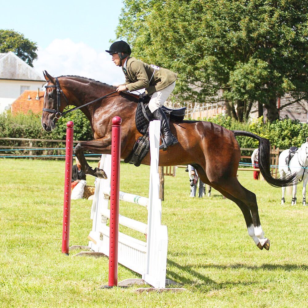 andytllewellyn's tweet photo. We may always be placed second.....but heβll always be my No1 #retrainingofracehorses #showing #showjumping #seconditus π₯π @RoRlatest @OliverSherwood @chloeebox https://t.co/qn9Xgv8i9O