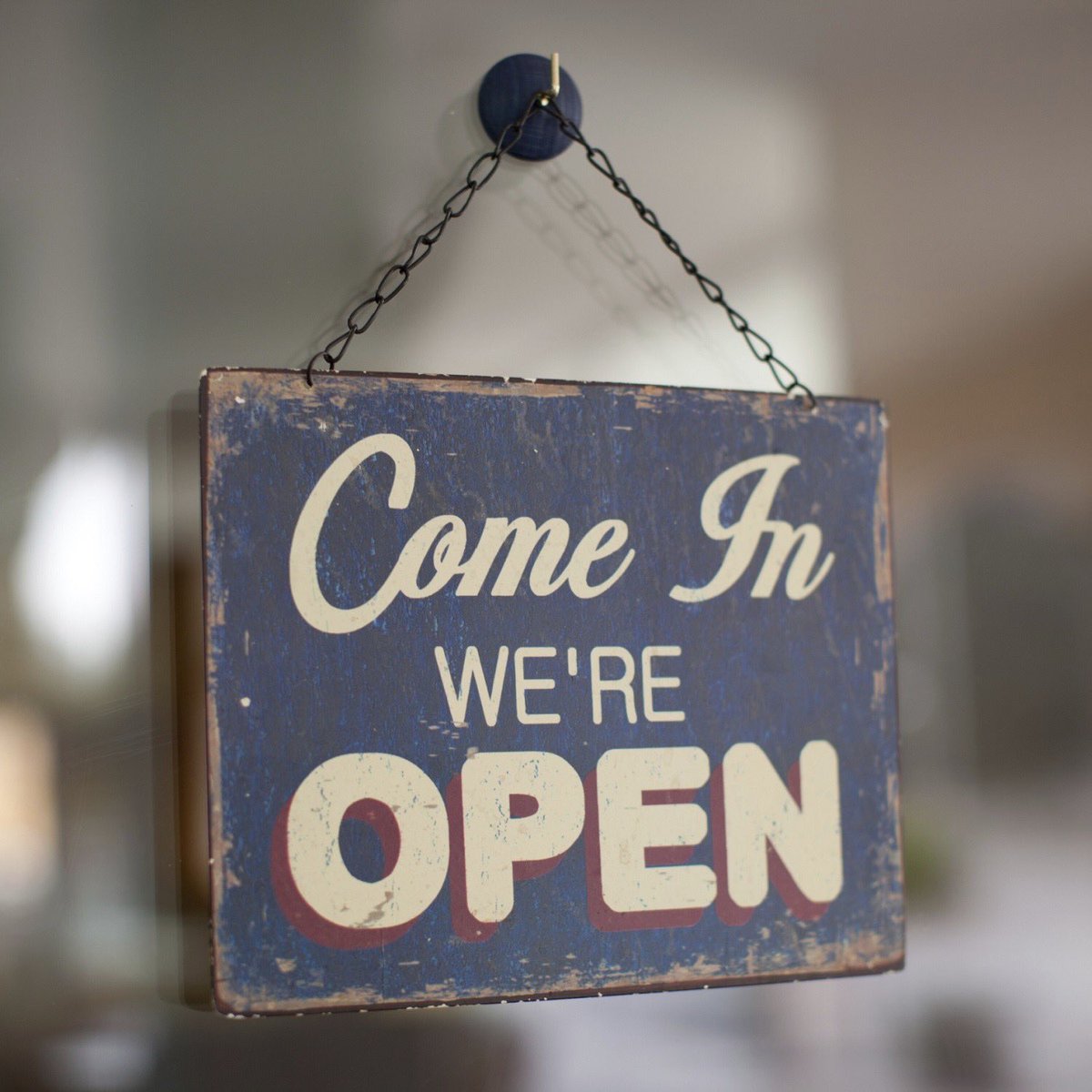 Ivy Arms tweet media