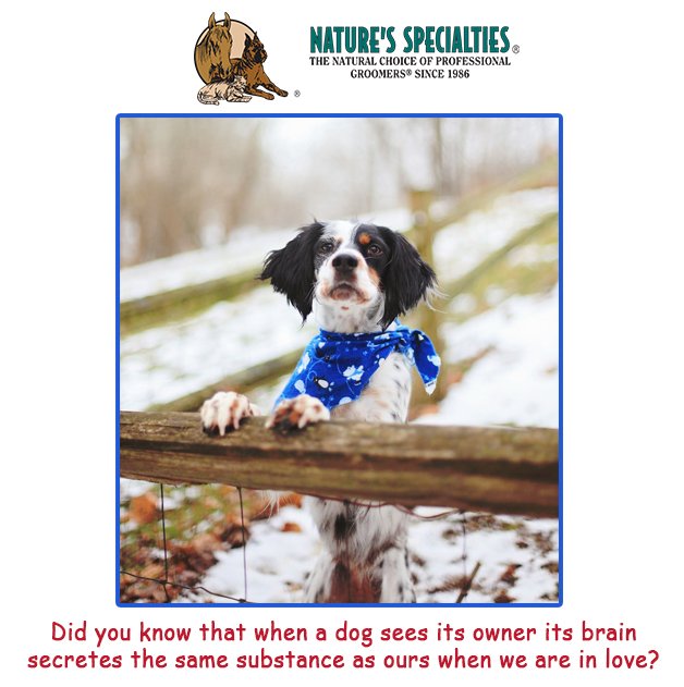 See all of our Products: naturesspecialtiesmfg.com 
#NaturesSpecialties #PetProducts #PetCare #Pets #PetSupplies #Groomers #DogsAndCats