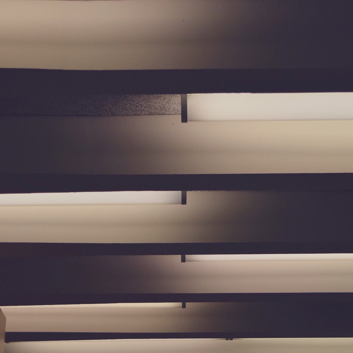 upennlib's tweet photo. Speaking of Labor: Many thanks to everyone who worked to refresh the Libraries over the summer - which included the installation of energy-efficient lighting. 💡🌱 @PennChemistry #PennMathPhysicsAstronomy #VanPeltDietrichLibrary #GreenAtPenn https://t.co/ttvTmxAU4k