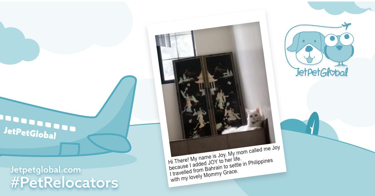 JetPetGlobal1's tweet photo. My name is Joy. My Mom gave me this name because I added #JOY to her life. I travelled from #Bahrain to settle in #Philippines with my Mommy Grace.  Mommy and I was very thankful and blessed for the help and care that #JetpetGlobalTeamBahrain did for us-Joy
#petshippingservices https://t.co/WsFTuFTQvv