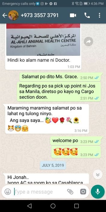 JetPetGlobal1's tweet photo. My name is Joy. My Mom gave me this name because I added #JOY to her life. I travelled from #Bahrain to settle in #Philippines with my Mommy Grace.  Mommy and I was very thankful and blessed for the help and care that #JetpetGlobalTeamBahrain did for us-Joy
#petshippingservices https://t.co/WsFTuFTQvv