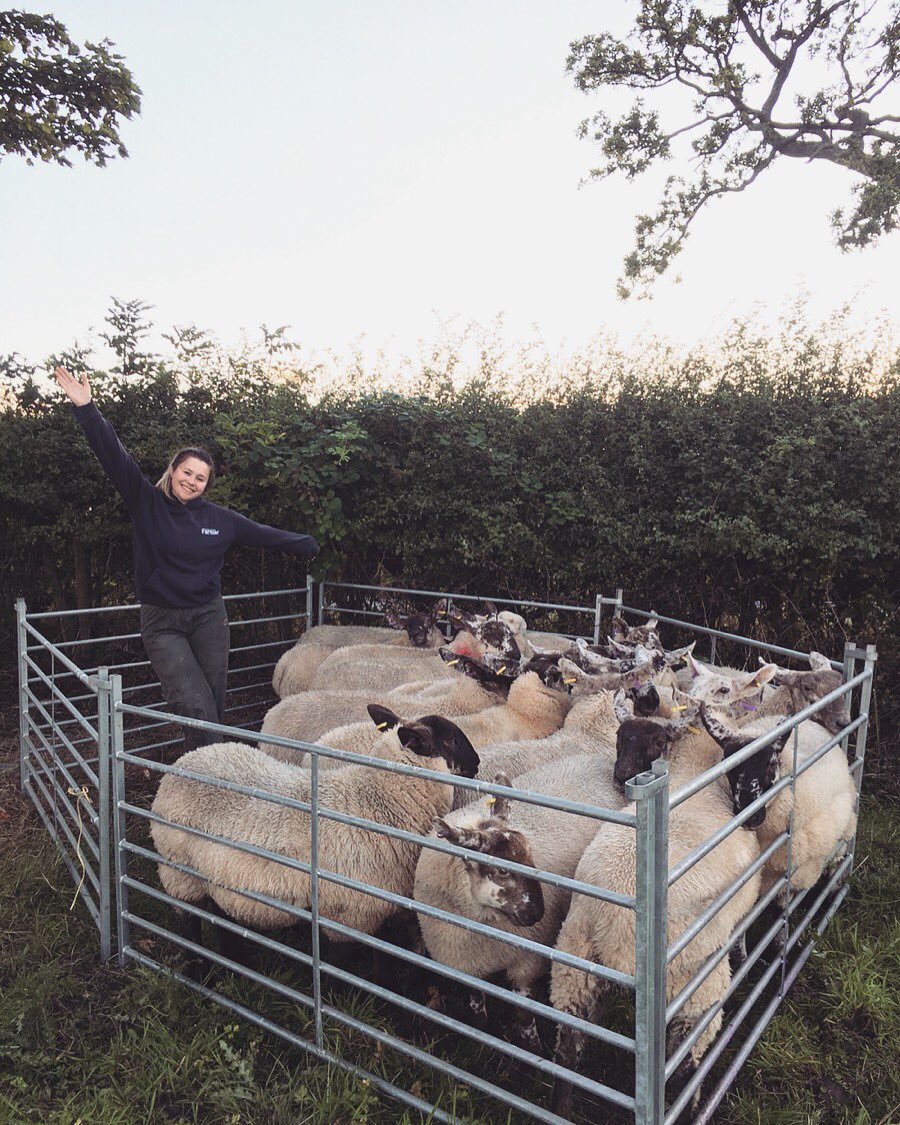 This week is #LoveLambWeek where <a href="/AHDB/">Ahd bellaj</a> are encouraging consumers to buy and cook #British lamb! Always check the label to ensure you’re consuming fresh, local &amp; homegrown produce! Send us your stories, pictures &amp; videos on email to jenny@sayfc.org bit.ly/2knlACI
#farm365