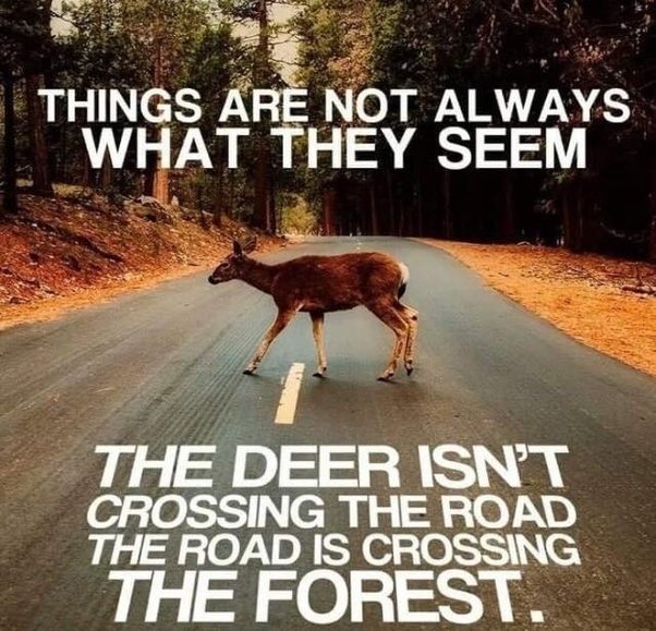 BhoomiKeshwala's tweet photo. And then there are pictures with deep meaning. #environmentalawareness https://t.co/ybaq5kk4TZ
