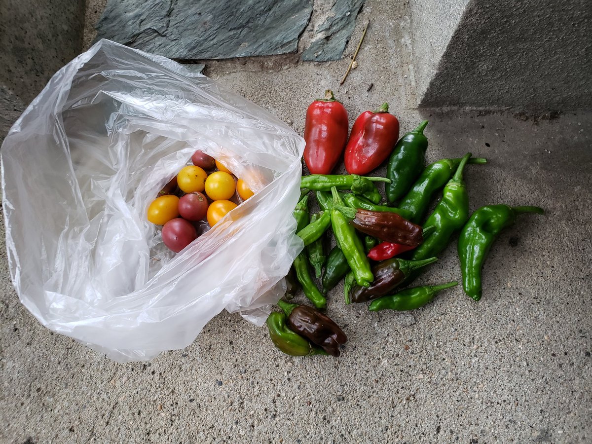 E5 86 Ac E9 87 8e E8 8f 9c 81 Ae E7 A8 Ae 81 Be 81 8d Twitter Search