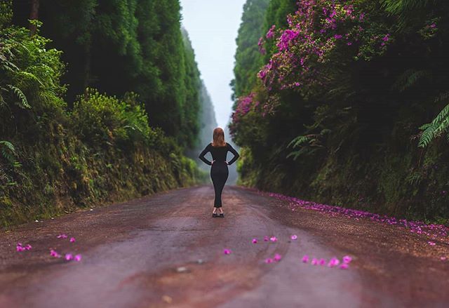 AzoresWhatElse's tweet photo. Photo By @matej.kautman - Bloom at Sete Cidades, Azores.
@ziburi.ziburi
#azoresphotography #saomiguelisland #bloom #flowersportrait #allblackoutfit #bratislavagirl #bratislavaphotographer #fotografbratislava #brenizer #brenizermethod #panoramaportrait… https://t.co/CWC9sG25B1 https://t.co/69fM2HEpJD