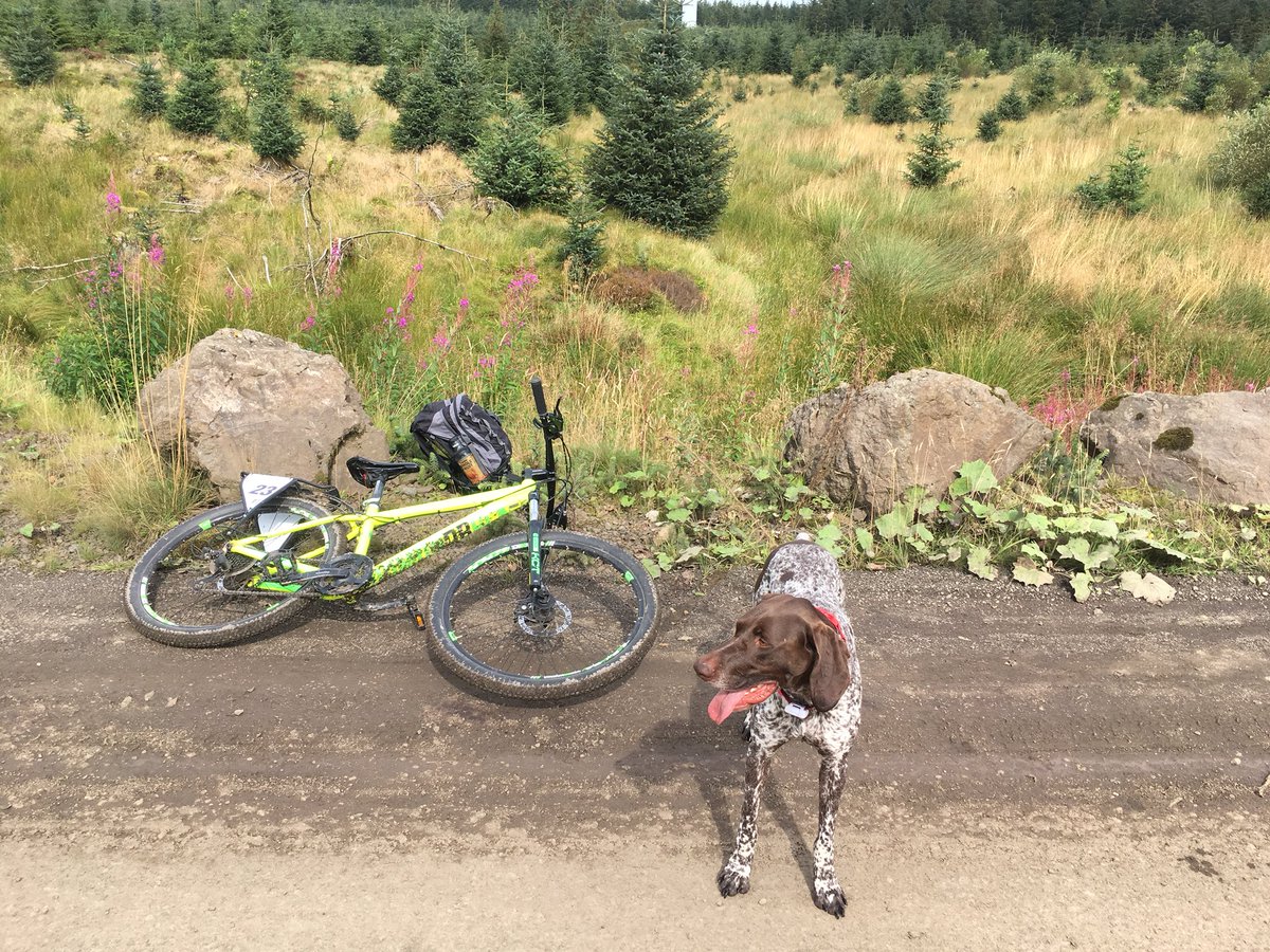 Ghutchie3's tweet photo. 16 years post heart transplant and 5 years ago today told I was out of cancer remission. Super thankful. 26 mile bike ride completed to celebrate. Running partner forever by my side. #hearttransplant #cancer #weneedeverybody #transplanttoys #gsp #OrganDonationWeek https://t.co/wKk3fEx9dJ