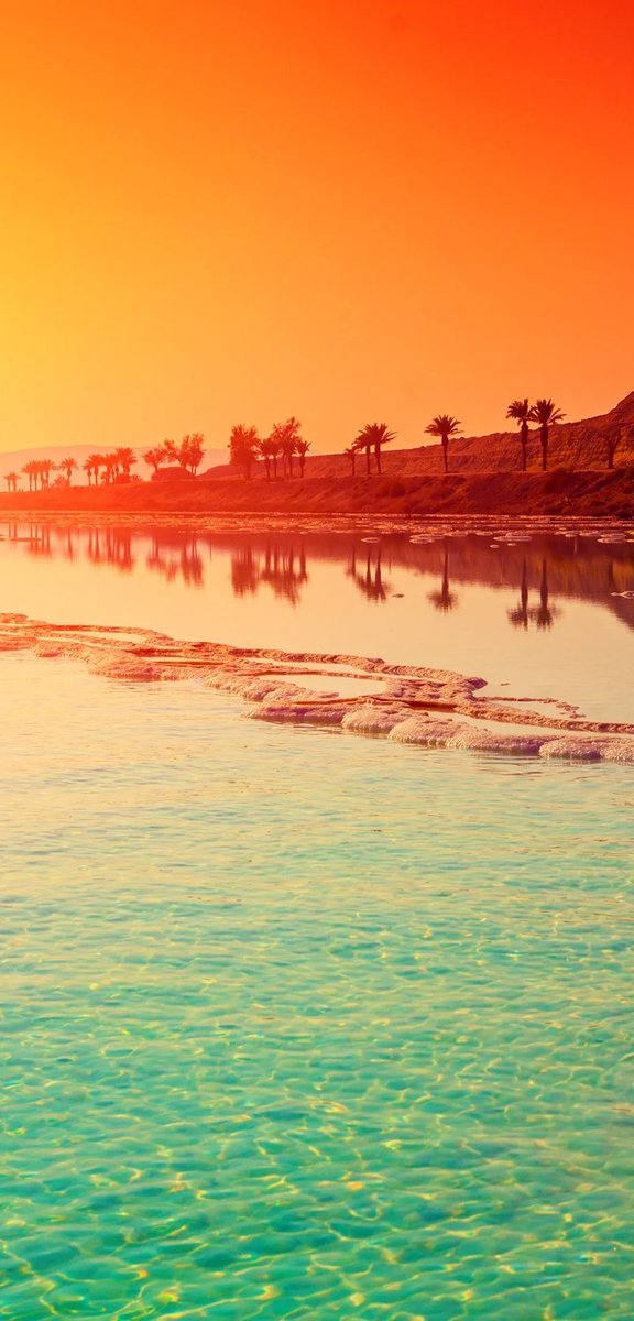 KechBasma's tweet photo. https://t.co/4mlpUQp6My