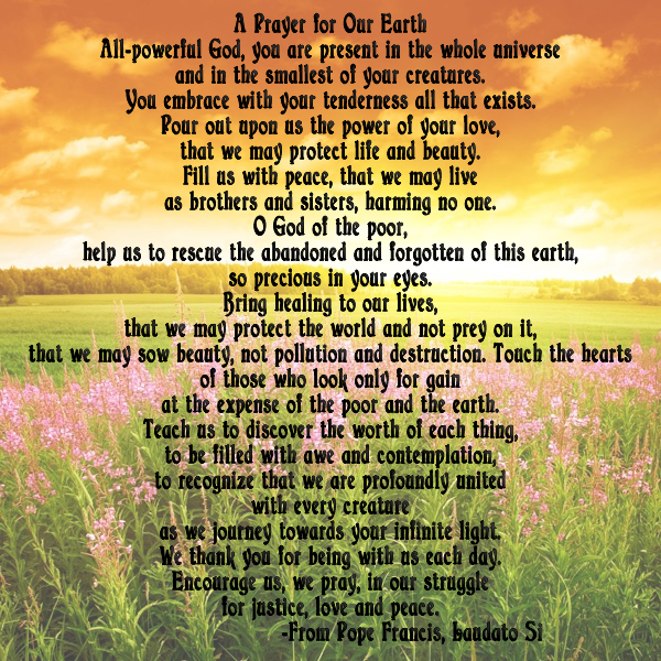 MaryknollSister's tweet photo. Today is the start of the #seasonofcreation. Please join our Sisters today as we celebrate the World Day of Prayer for the Care of Creation. To light a virtual candle and #prayforcreation with our Sisters click here https://t.co/YM4xIW3X4w https://t.co/xCFaP6IOWj