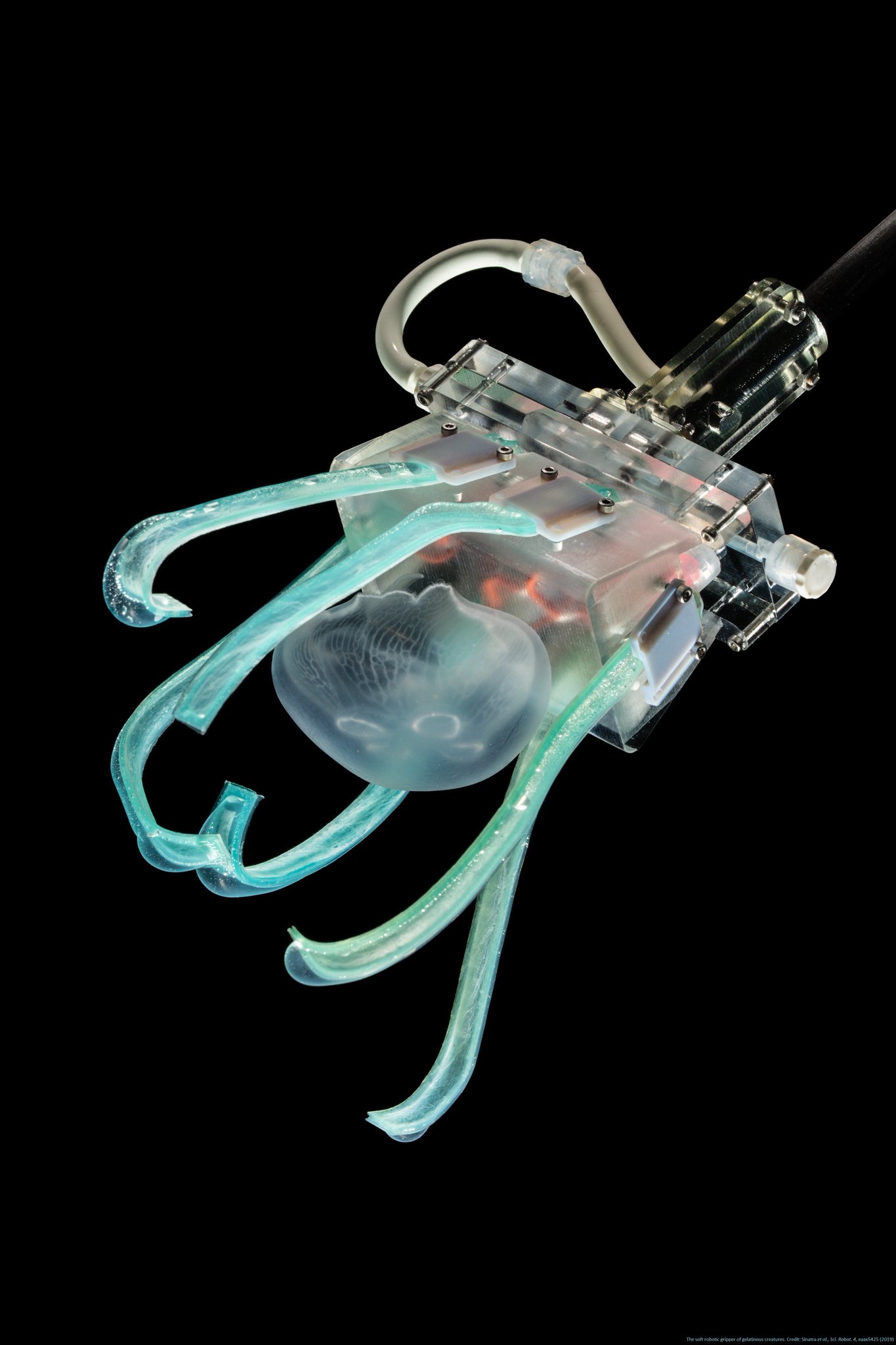 science and robotics