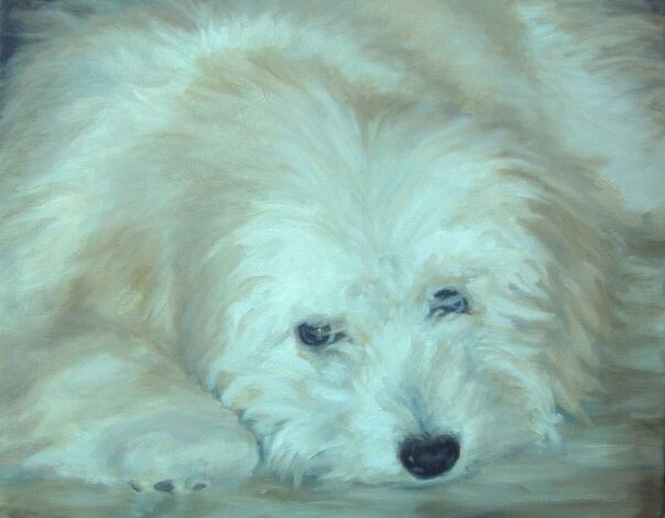 Love painting dogs!They’re my subject of choice when I just wanna have fun - because fur is TONS of fun to paint!My pomapoo gets painted on the regular - in a variety of styles - this one is alla prima, really loose & impressionistic but soft & dream like.  #petportrait