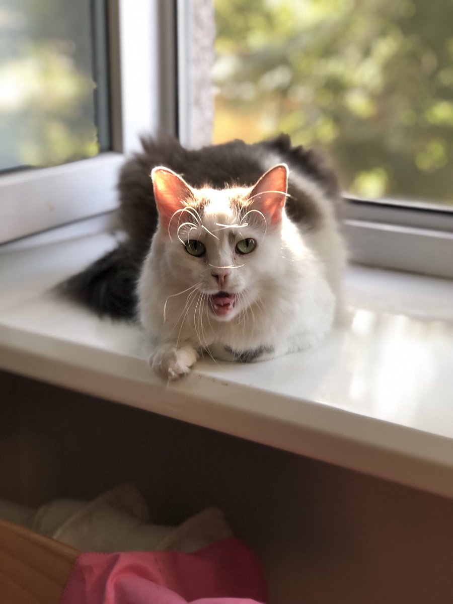 vika🌿 tweet media