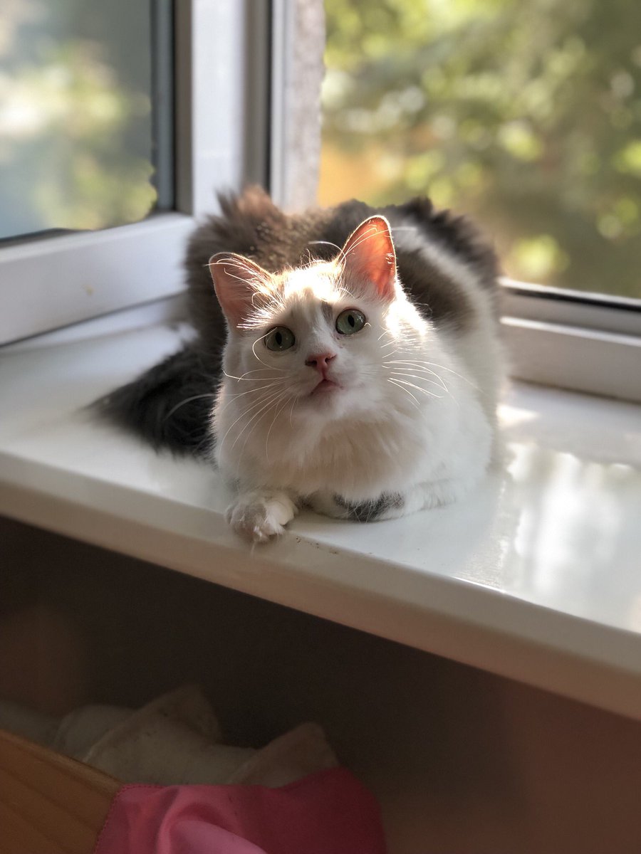 vika🌿 tweet media