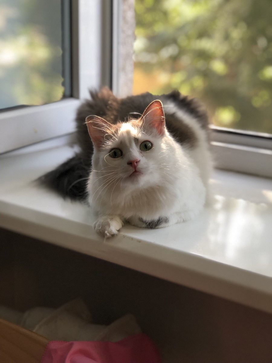 vika🌿 tweet media