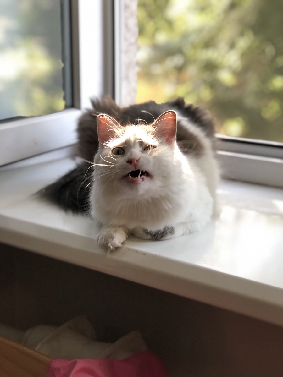 vika🌿 tweet media