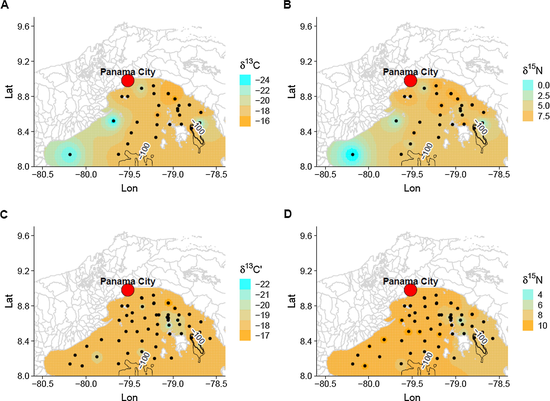 Kirsteen MacKenzie tweet media