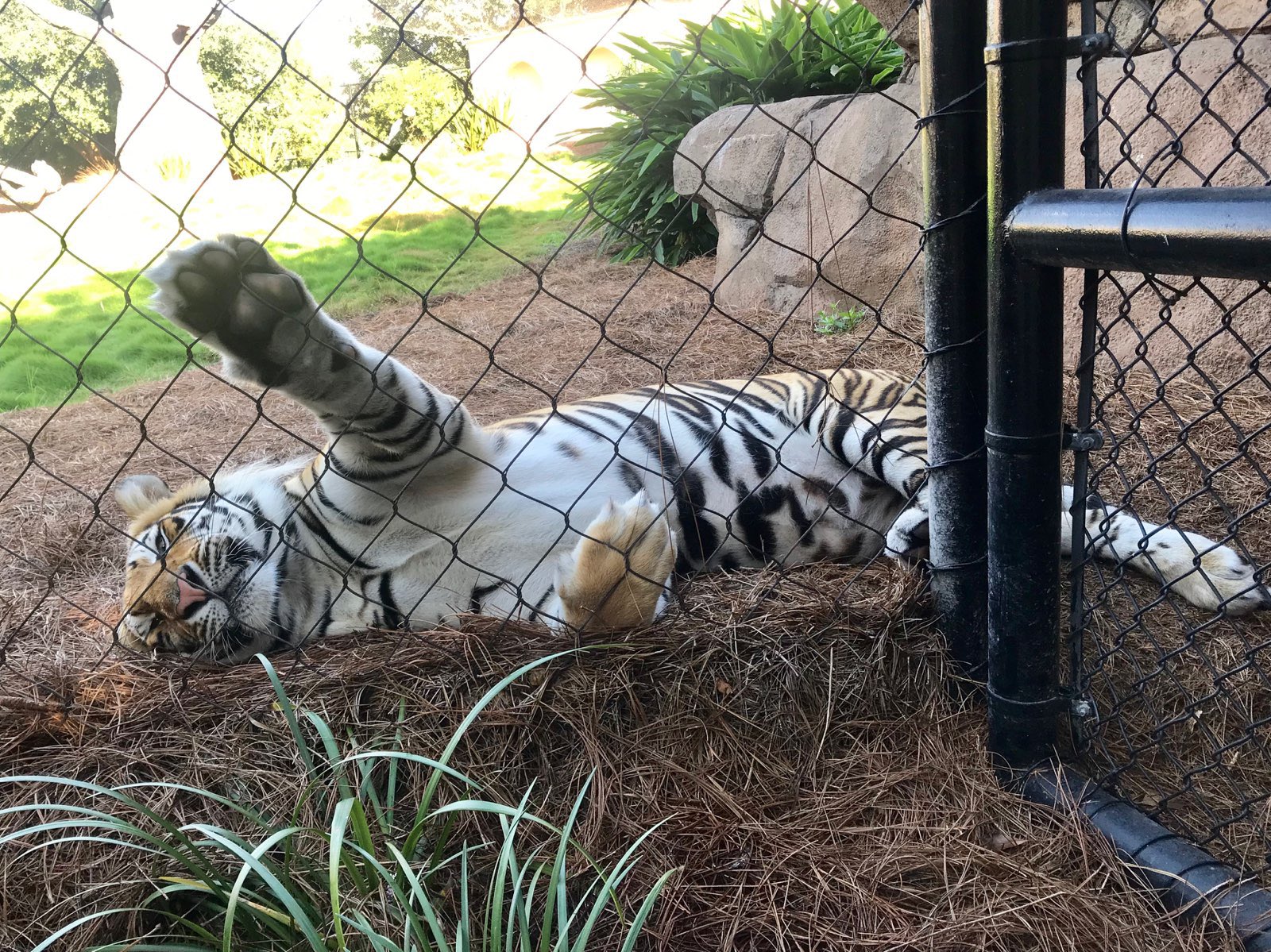 EDdrRb7WkAIDhof.jpg:large