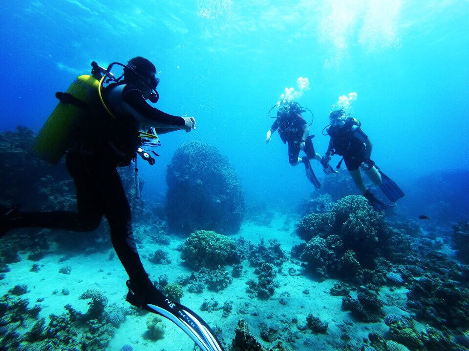 JordanFrogman1's tweet photo. We enjoy our work because we have such wonderful customers😍Only good vibes 📸💜

#Diving #Dive #ScubaDiving #Scuba #Sea #RedSea #PADI #PADImember #MrFrogmanDiveCenter #MrFrogman #Jordan #Jo #Aqaba #Beach #Aqababeach #PicsArt #DivePlus https://t.co/JJ5LPUylG9