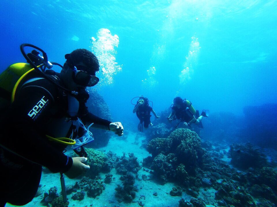 JordanFrogman1's tweet photo. We enjoy our work because we have such wonderful customers😍Only good vibes 📸💜

#Diving #Dive #ScubaDiving #Scuba #Sea #RedSea #PADI #PADImember #MrFrogmanDiveCenter #MrFrogman #Jordan #Jo #Aqaba #Beach #Aqababeach #PicsArt #DivePlus https://t.co/JJ5LPUylG9