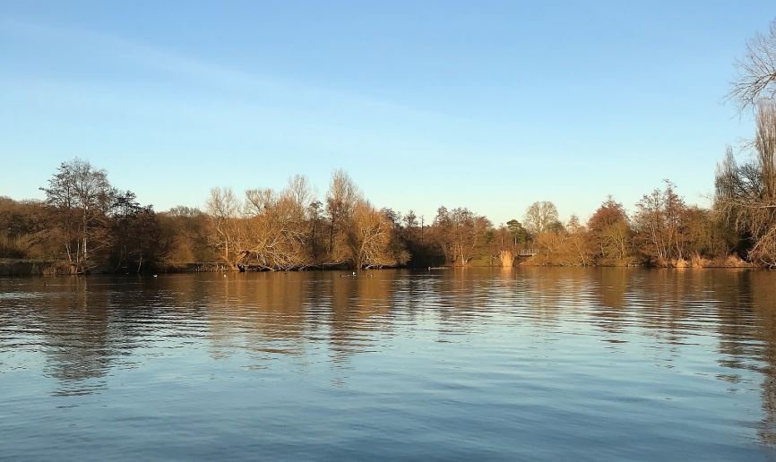 reigatebanstead's tweet photo. Earlswood Lakes: Works begin today to improve the surface of the woodland path around the southern edge of the boating lake. We expect this to take around a week, depending on weather and site conditions. We appreciate your patience during this time π¦ π #myrbbc #earlswoodlakes https://t.co/Yte9C3Rj0j