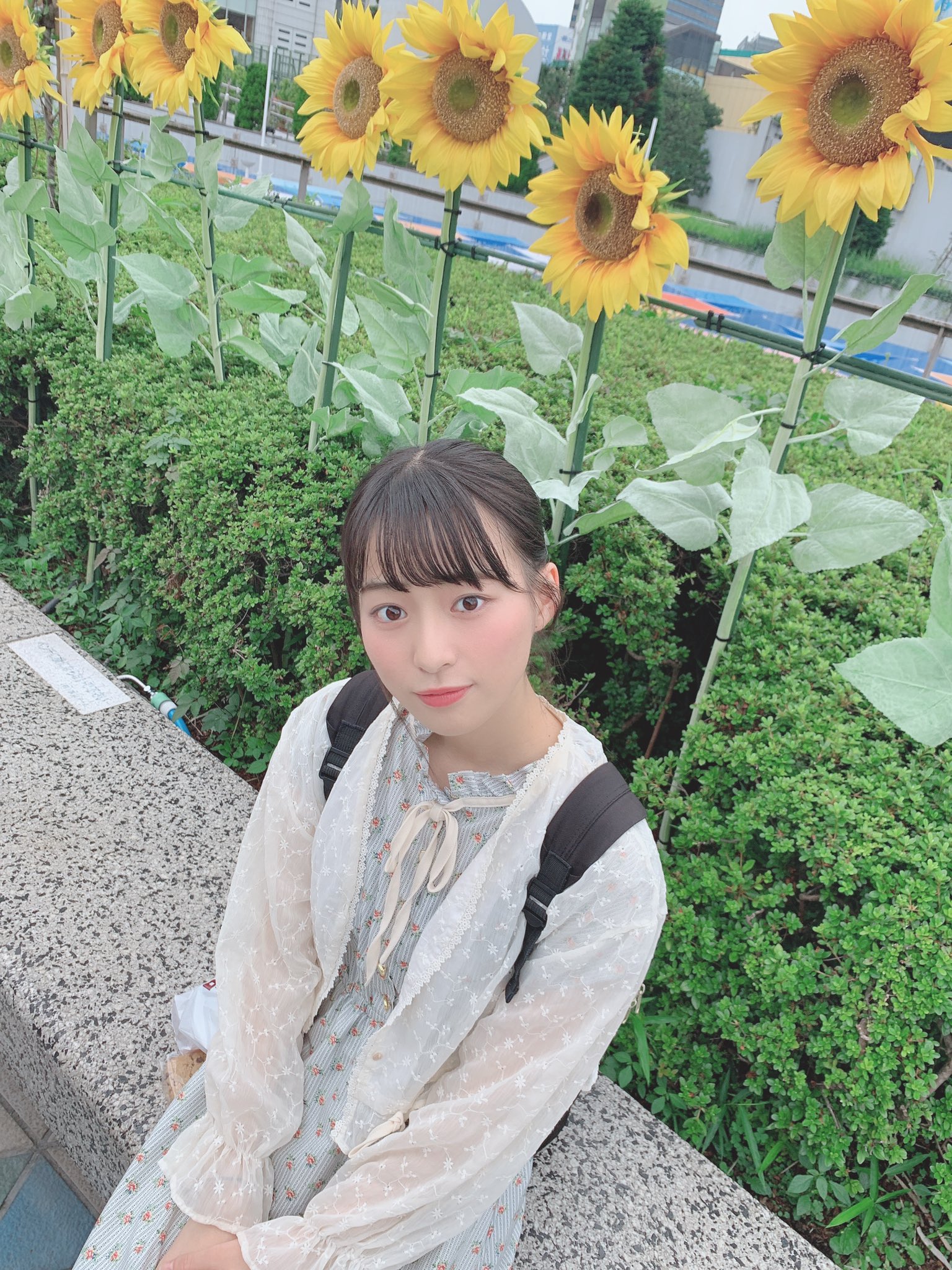 冨田 菜々風 ひまわりの花言葉 本数によって違うの 初めて知りました みんなは知ってた ノイミー T Co I0vcwsjtgq Twitter