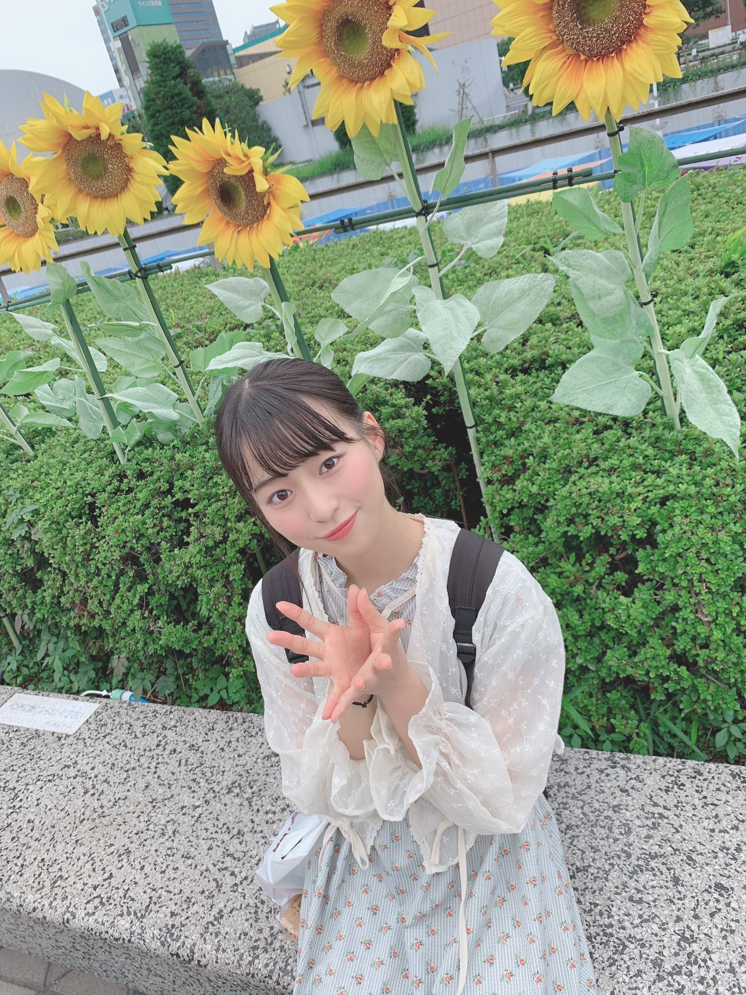 冨田 菜々風 ひまわりの花言葉 本数によって違うの 初めて知りました みんなは知ってた ノイミー T Co I0vcwsjtgq Twitter