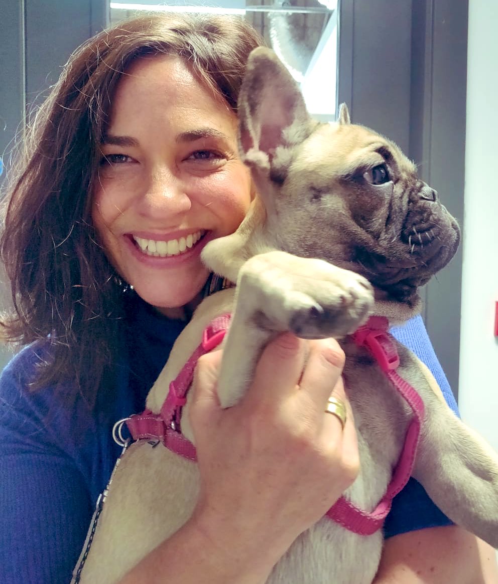 Alison Kerr (@alikerr77) on Twitter photo The day Monty came to visit! See you again soon Monty at <a href="/OCHdublin/">O'Callaghan Collection</a> Sin Bin. #theMont #lovindublin #bestdayever #lifeatTDL #LifeatTravelport The day Monty came to visit! See you again soon Monty at <a href="/OCHdublin/">O'Callaghan Collection</a> Sin Bin. #theMont #lovindublin #bestdayever #lifeatTDL #LifeatTravelport