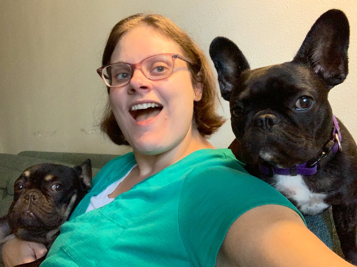 whistler2018's tweet image. Me: Selfie time!

Dogs: 

#sourpusses #frenchbulldogs #DogsofTwittter