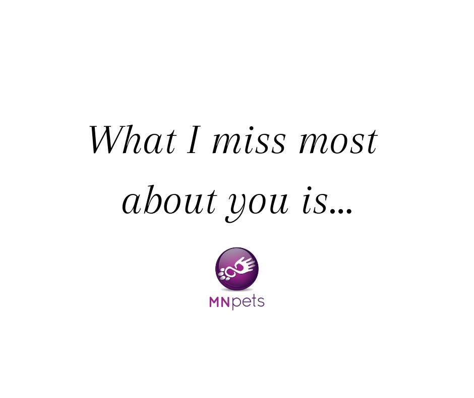 MNpets's tweet image. Each Monday this month will be #MemorialMonday.

Today, we invite you to quote this tweet with what you miss most about your pet ❤️