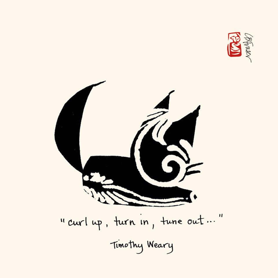 Haiku_Cats's tweet image. And on the 357th day... we rested. #Weary #Pun ! #CurlUp #TurnIn #TuneOut #Rest #CatNap #CatArt #Quotations #Play #Relax #September #Cat #Collage #Cats #Swirl #Sleep #Tired #kitty