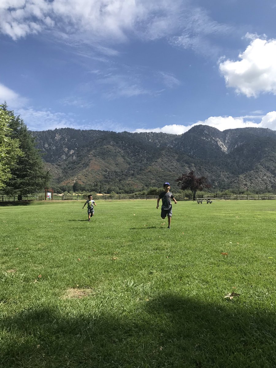 TchrLoveCoach's tweet photo. That’s my happy place! 

Those are #myboyzmyjoyz 

this is my Wellness recipe. https://t.co/T0mLiD42rp